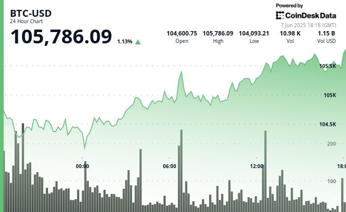 Bitcoin se mantiene por encima de 105K ¡y Donald Trump no puede con Elon Musk!