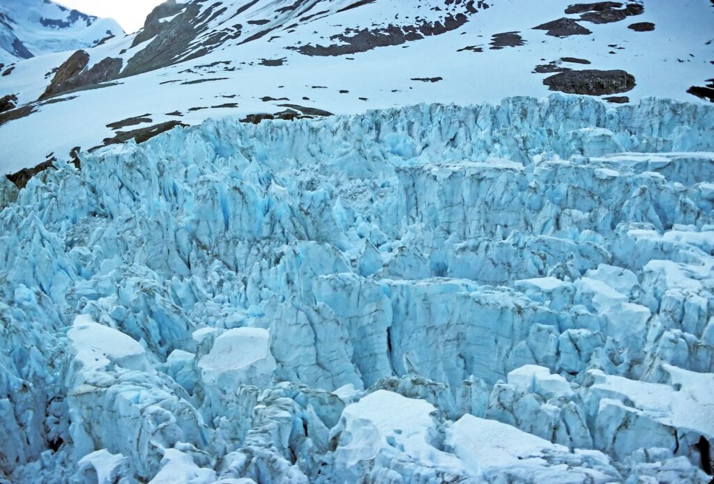 ¡Sorpresa a Medianoche! Descubre los SECRETOS del Token NIGHT y cómo conseguir el Airdrop 'Glacier Drop' antes que nadie