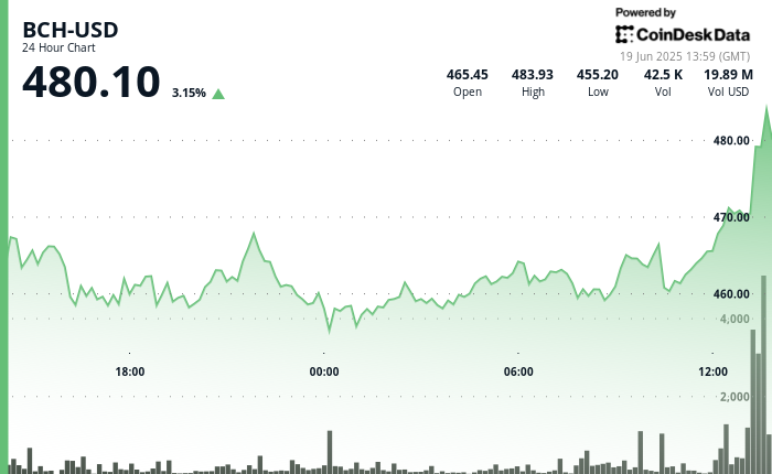 ¡BCH Explota a $480 Mientras el Volumen Se Dispara un 22% y Revienta el Mercado Cripto!