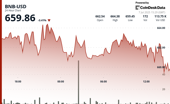 ¿Se Aguanta el Precio de BNB en $660? ¡Los Traders No Pueden Creer Lo Que Viene!