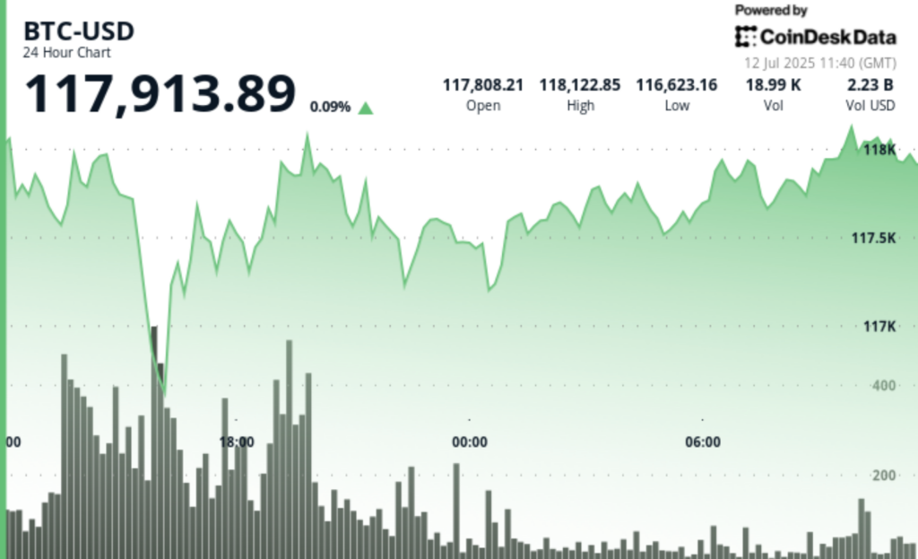 ¡El precio de Bitcoin no tiene techo! Así lo dice el millonario James Lavish