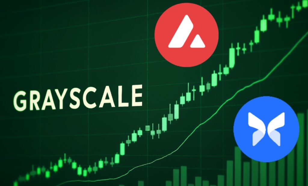 ¡Alerta! Avalanche y Morpho se colaron entre las 20 criptos favoritas de Grayscale que no querrás perderte