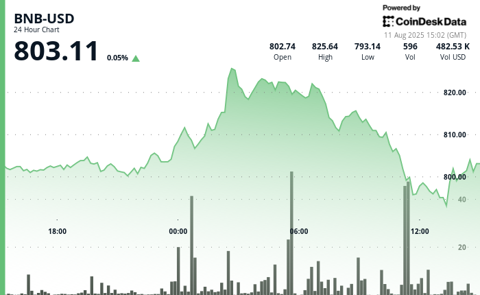 ¡Locura en BNB! Sube y baja un 4% en un día mientras las grandes empresas desafían el muro de los 800 dólares