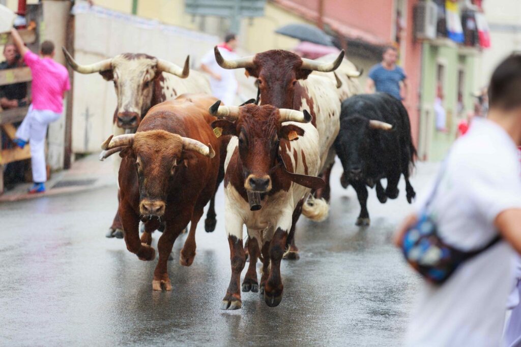 ¡Bitcoin se dispara a más de 116K y todo el mundo está en modo toro! Crypto Daybook Americas te cuenta por qué no puedes perderte esta subida