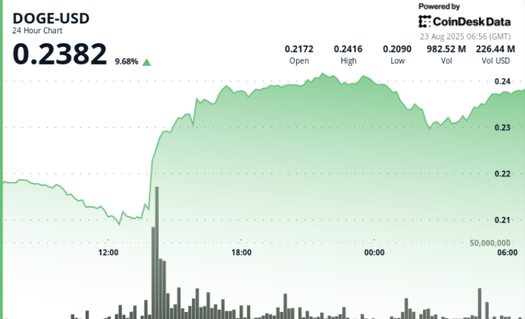 ¡Boom! Precio de DOGE se dispara un 11% gracias a ESTA estructura alcista secreta en Dogecoin