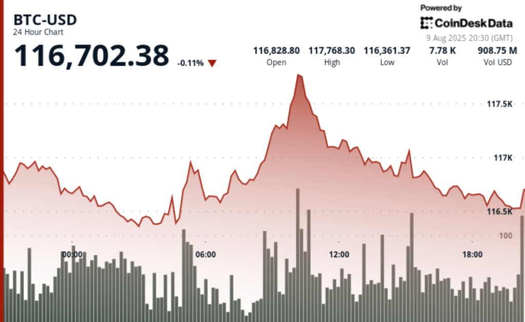 ¡Bitcoin le pisa los talones al oro en 2024 y su rendimiento total desde 2011 es una locura: 308,709 veces más!