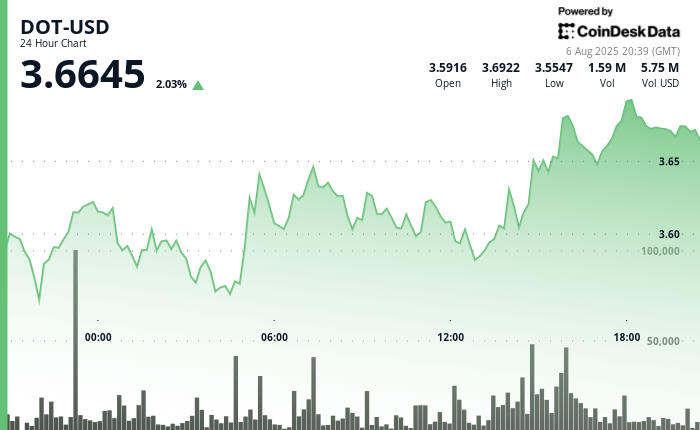 ¡Polkadot dispara su DOT hasta un 4% con una subida de toro que no te puedes perder!