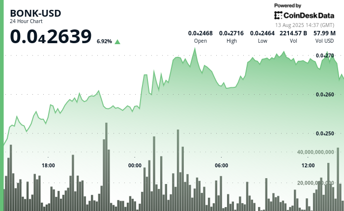 ¡Boom! El Memecoin BONK se dispara a $0.000027 antes de que todos empiecen a vender y ganar!