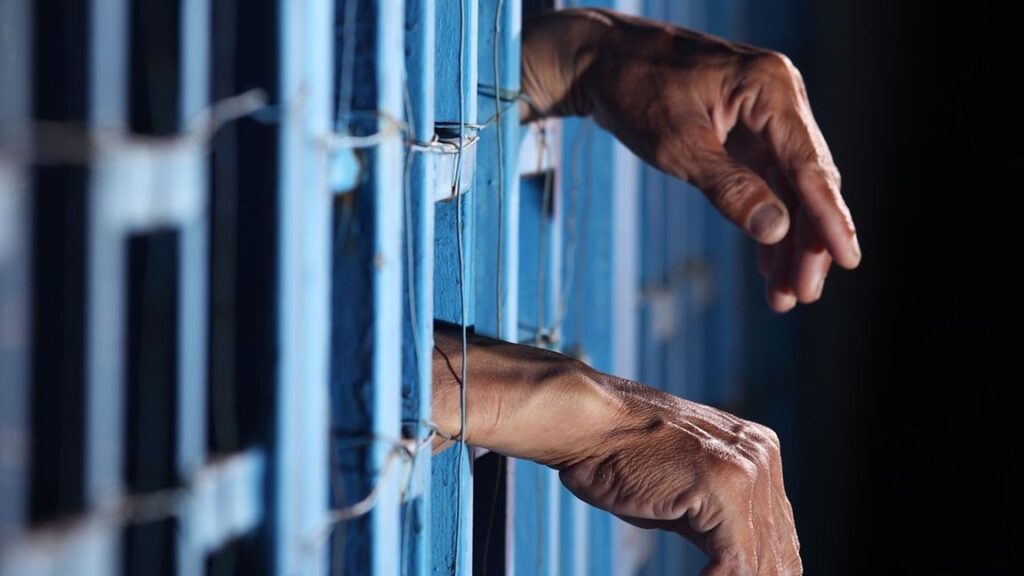 ¡Impactante! Policía Checa Atrapa al Donante detrás del Escándalo Bitcoin de ¡Mil Millones de Dólares!