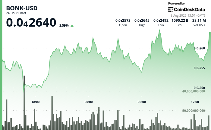 ¡Atención! Solana Memecoin BONK sube 1.7% y se choca contra una pared que podría cambiarlo todo