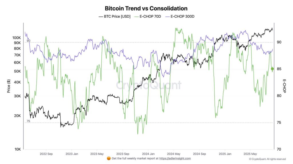 ¡Bitcoin se desploma a 114.000 dólares! ¿Subirá o se desploma? CryptoQuant y Bitfinex revelan el secreto esta semana 🚀💥
