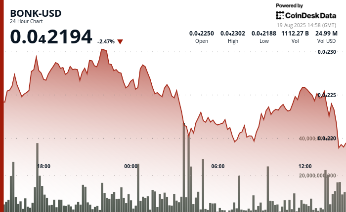 ¡Alerta BONK! Precio de la Memecoin se desploma un 3% y no logra romper la barrera ¡¿Qué está pasando?!
