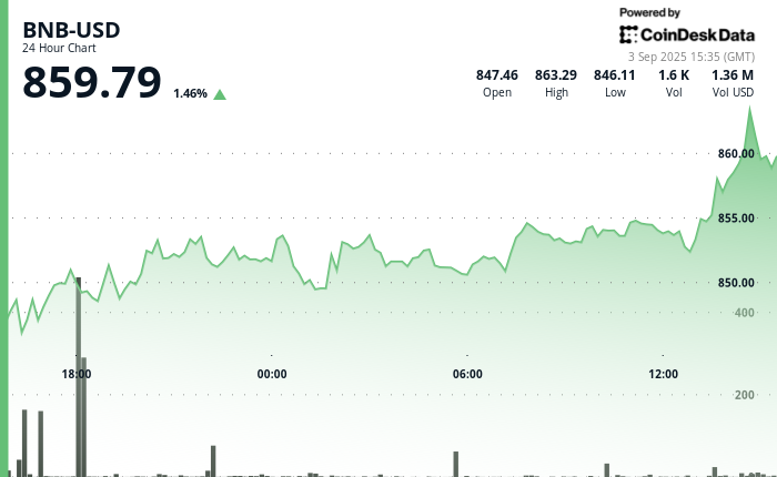 ¡BNB sube 1.5% y las empresas están cazando más monedas que nunca!