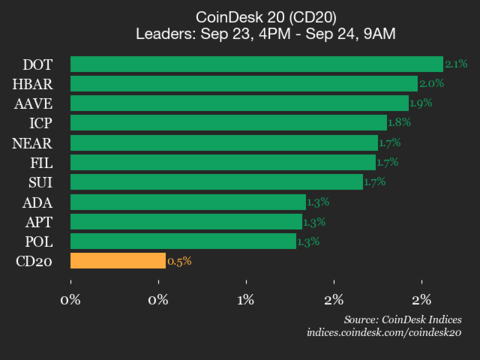 ¡Polkadot se dispara un 2.1% y el CoinDesk 20 no para de subir! ¿Será este el comienzo de una nueva ola?