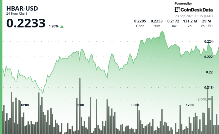 ¡HBAR Explota un 3.85%! Mira Por Qué los Grandes Inversionistas Están Llenando sus Bolsillos