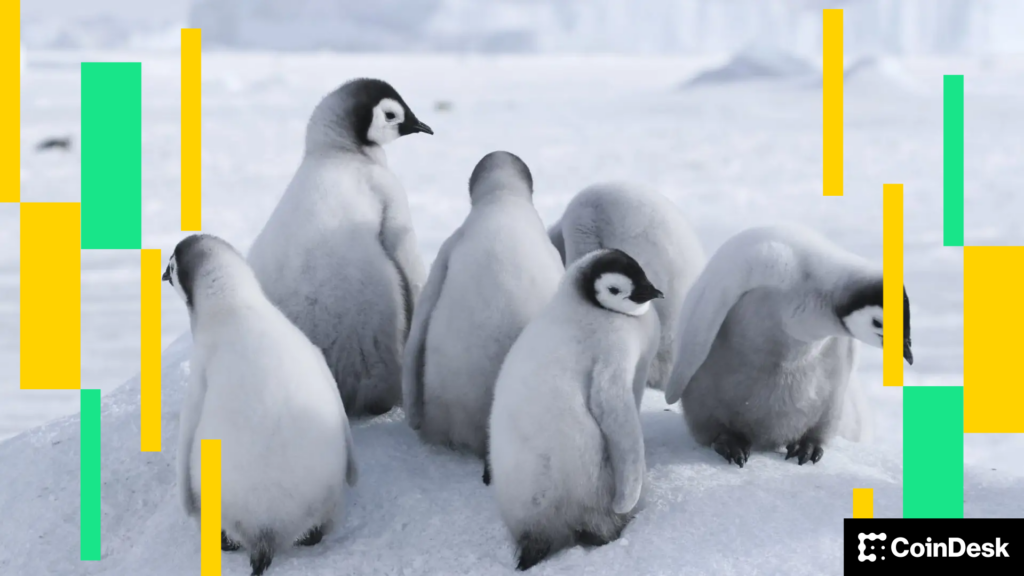¡Alerta cripto! BTC se frena, pero PENGU sube como la espuma y todos hablan de ello