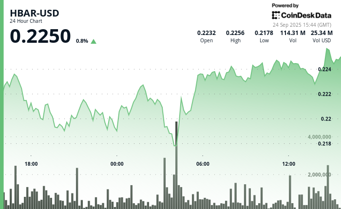 ¡HBAR se desploma a $0.217 y luego regresa con todo en una remontada sorpresa!