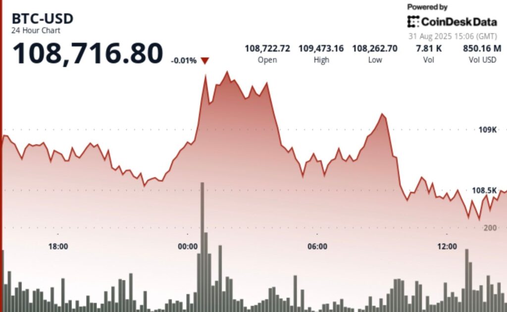 ¿Bitcoin se dispara tras el halving? ¡Analista revela demanda 6 veces mayor que la oferta en 2025!