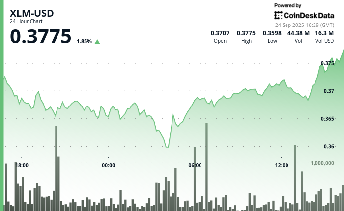 XLM se recupera tras caída brutal: ¿resistirá estos niveles clave o se desploma?