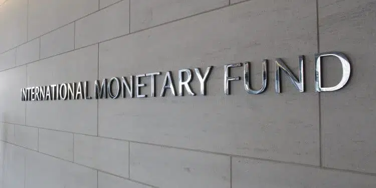 ¡Cuidado! El FMI advierte que las stablecoins podrían romper el mapa financiero mundial
