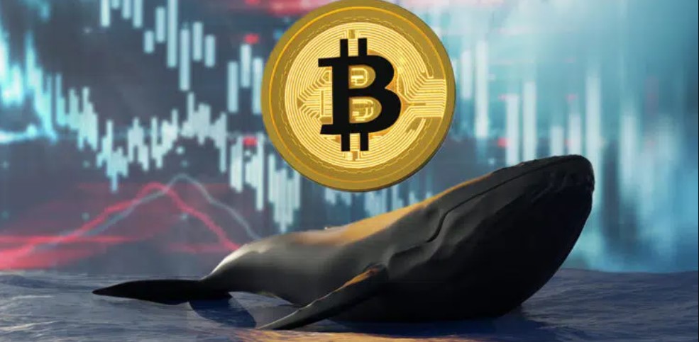 ¡Increíble! Las ballenas soltaron 140.000 bitcoin y esto es lo que pasó después