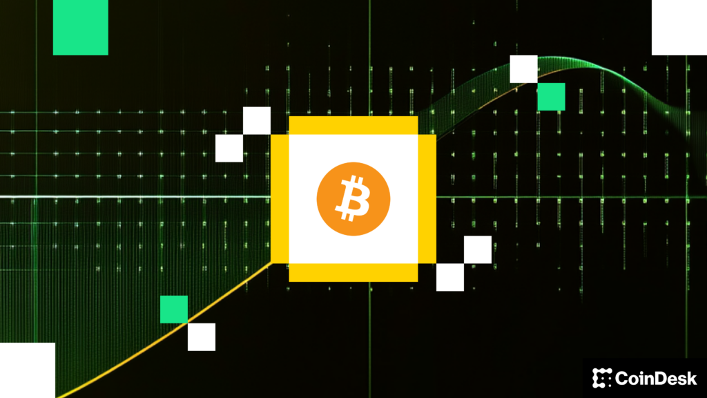 ¡Alerta Bitcoin! Las Grandes Empresas Frenan Compras en Agosto, pero los Tesoros Sumaron 5 Mil Millones ¡Imperdible!