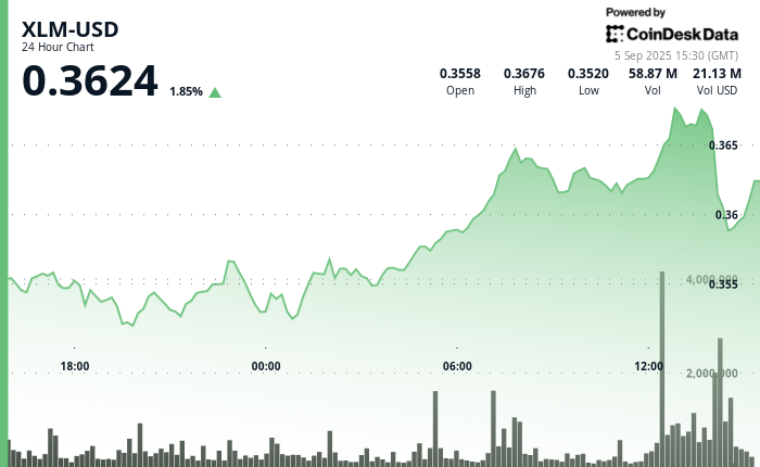 ¡XLM se dispara un 5% y luego se viene un desplome épico en la última hora!