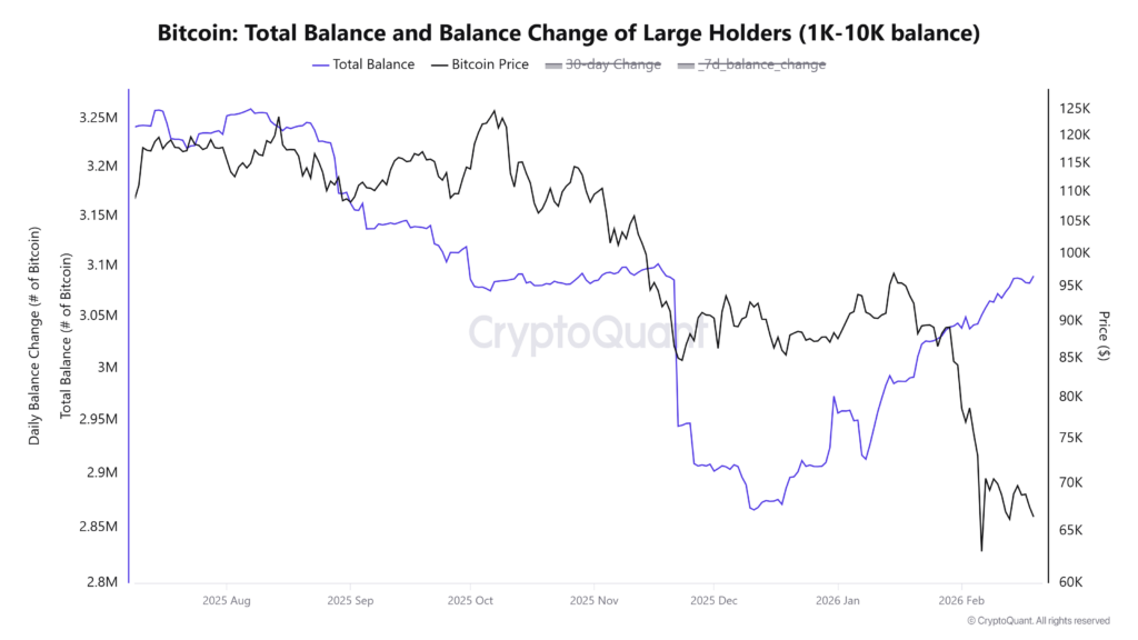 Criptomonedas, Precio de Bitcoin, Mercados, El exchange de criptomonedas, Binance, Análisis de precios, Análisis de mercado, Liquidez, Ballena