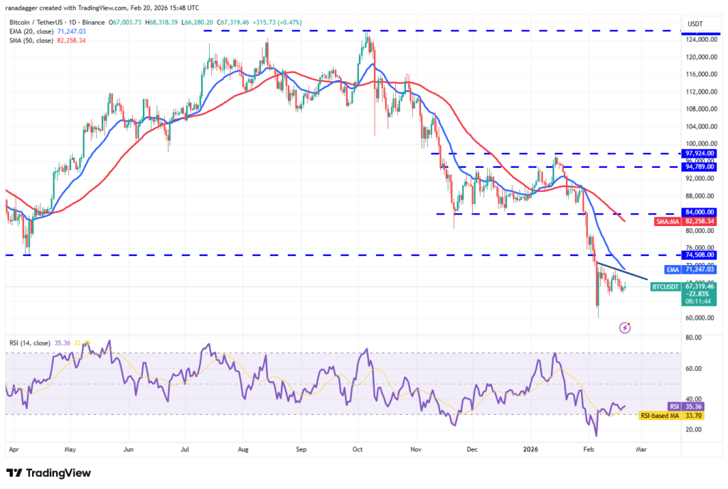 ¡Alerta Crypto! Estas locas predicciones de precios para el 20 de febrero te dejarán boquiabierto: BTC, ETH, DOGE y más 🎢🚀