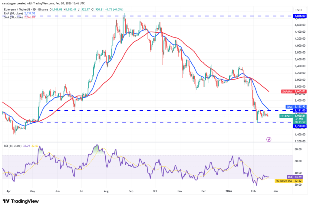 ¡Alerta Crypto! Estas locas predicciones de precios para el 20 de febrero te dejarán boquiabierto: BTC, ETH, DOGE y más 🎢🚀