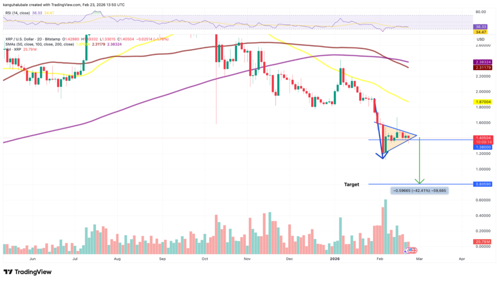 ¡Alerta! Precio de XRP en picada: las ballenas venden y podrías perder hasta un 40% más 🚨🐋