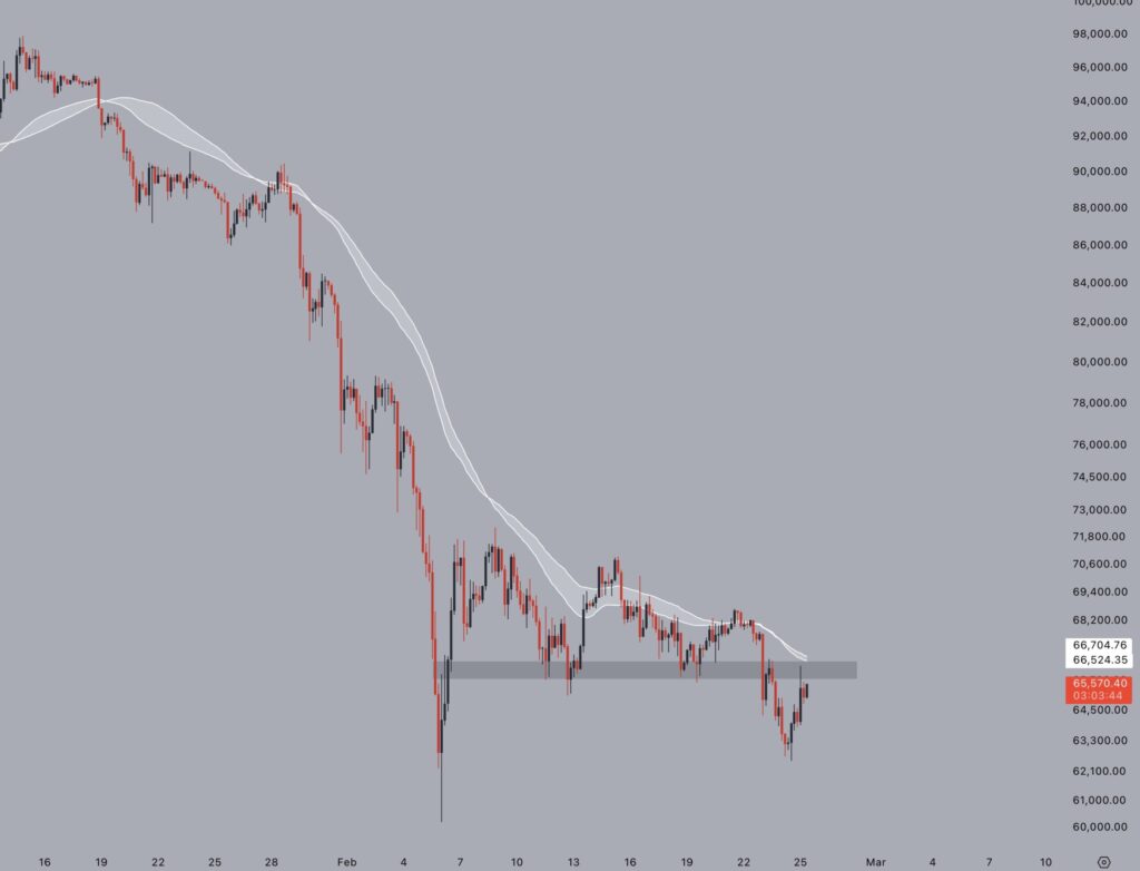 Michael Saylor revela el secreto: ¡Tenemos un doctorado en aguantar bitcoin como unos campeones!