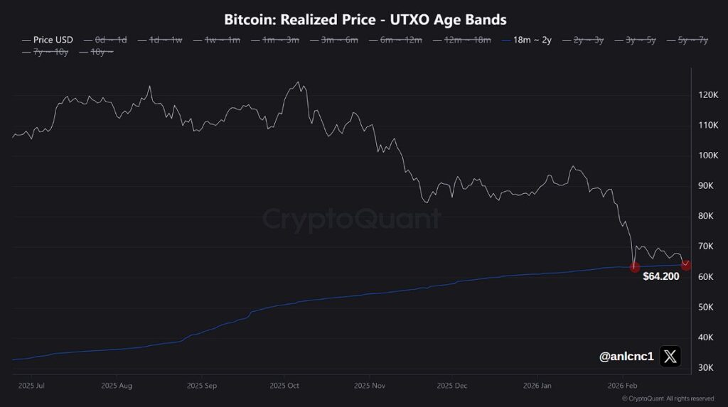 Criptomonedas, Precio de Bitcoin, Análisis de Bitcoin, Adopción, Mercados, Exchange de criptomonedas, Análisis de Precios, Análisis de Mercado