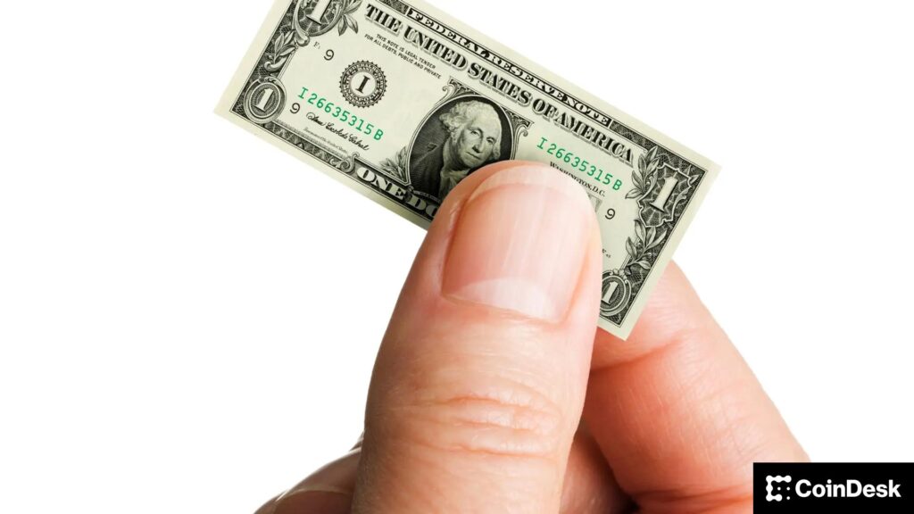 ¿Inversionistas chiquitos comprando Bitcoin? Los "camarones" apuestan, pero son las ballenas las que hacen explotar los precios