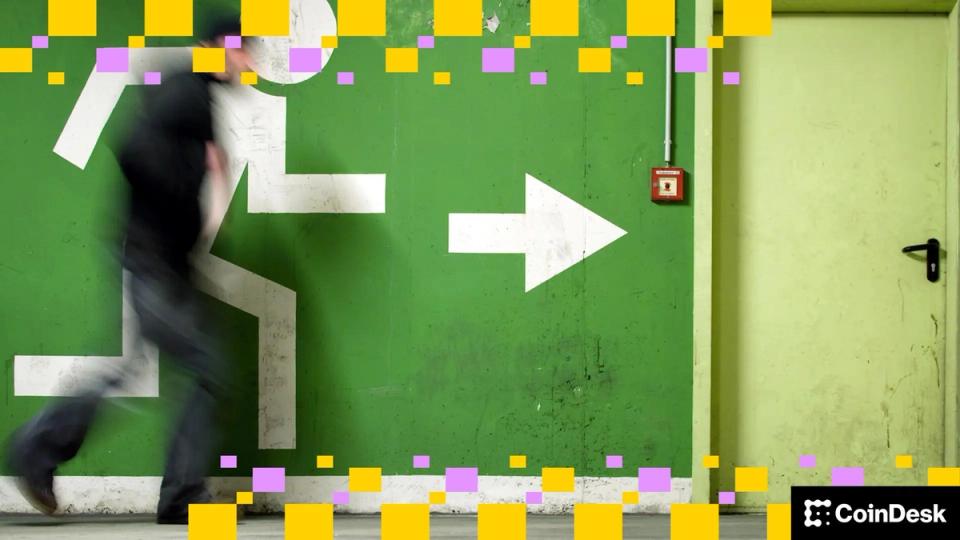 ¡Bombazo en Blockfills! El cofundador y CEO Nicholas Hammer dice adiós y deja a todos con la boca abierta