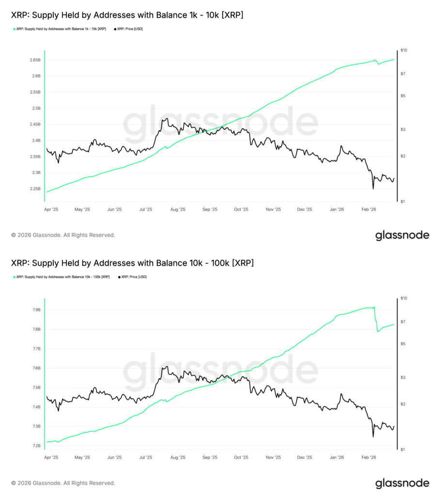 ¿Podrá XRP rebotar en marzo y sorprender a todos? ¡No creerás lo que viene!