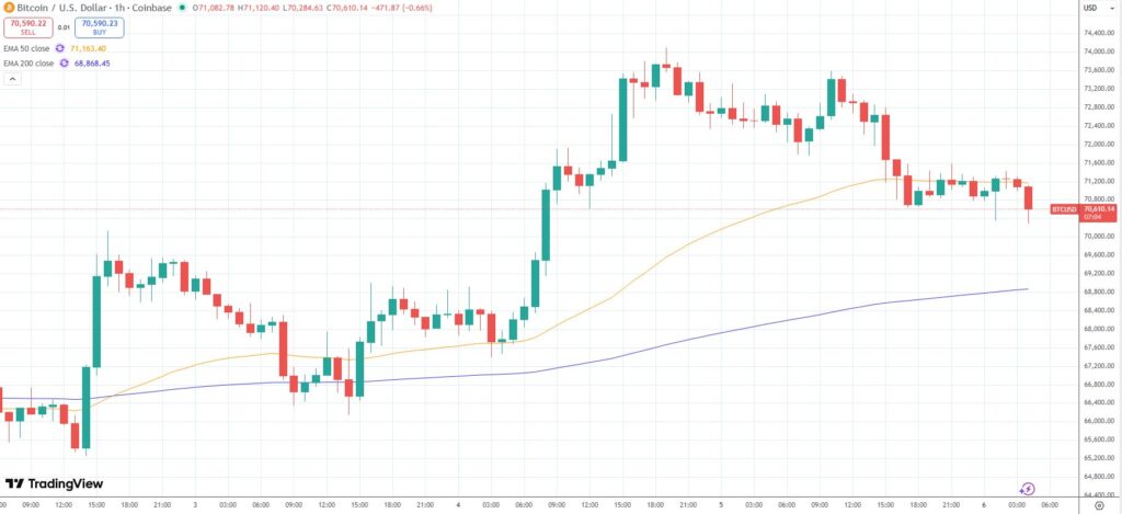 ¡Atención! Bitcoin quiere subir, pero los analistas dicen que el mercado bajista no se lo va a poner fácil