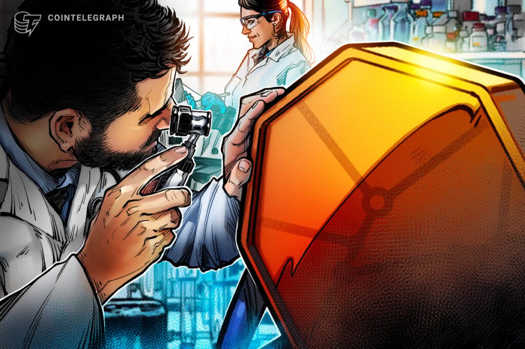 ¡Alerta cripto! El mercado bajista revoluciona todo: ¿adiós cuentos y hola fundamentos?