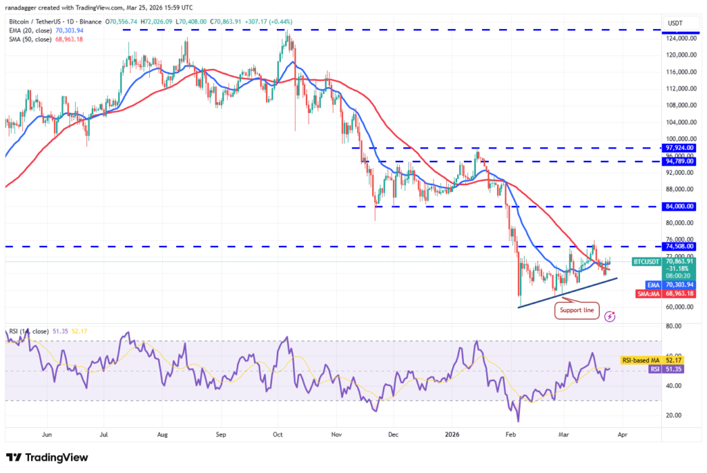 ¡Los Alcistas Preparan su Gran Regreso para Dominar Bitcoin y Altcoins! 🚀💥