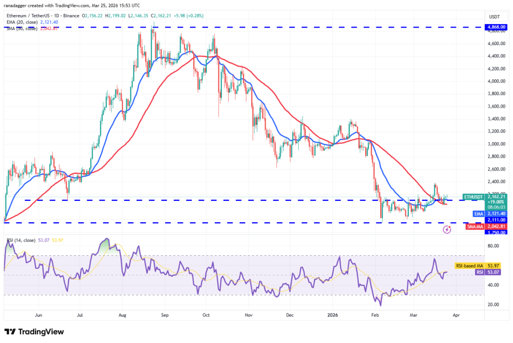 ¡Los Alcistas Preparan su Gran Regreso para Dominar Bitcoin y Altcoins! 🚀💥