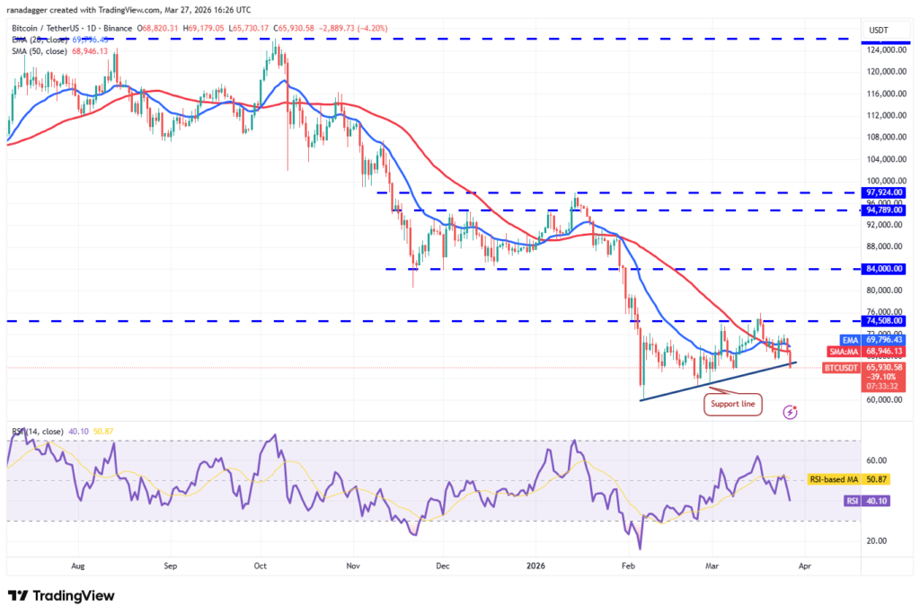 ¡Alerta de Oro Financiero! Predicciones de Precios del 27 de Marzo para BTC, ETH, BNB y Más que No Querrás Perderte