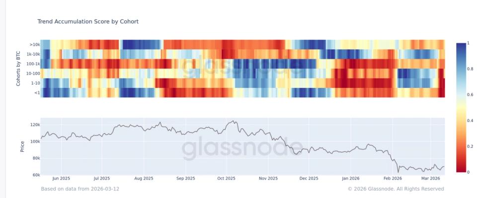 ¡Sorpresa en el mercado! Grandes y pequeños venden Bitcoin, pero el rey BTC se niega a caer