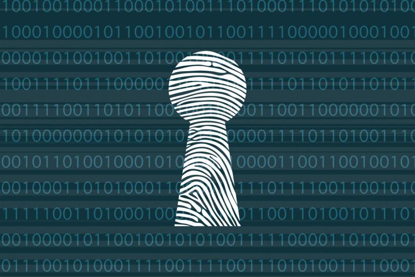 La verdadera pregunta no es si quieres privacidad, ¡sino qué tipo te va a volar la cabeza!