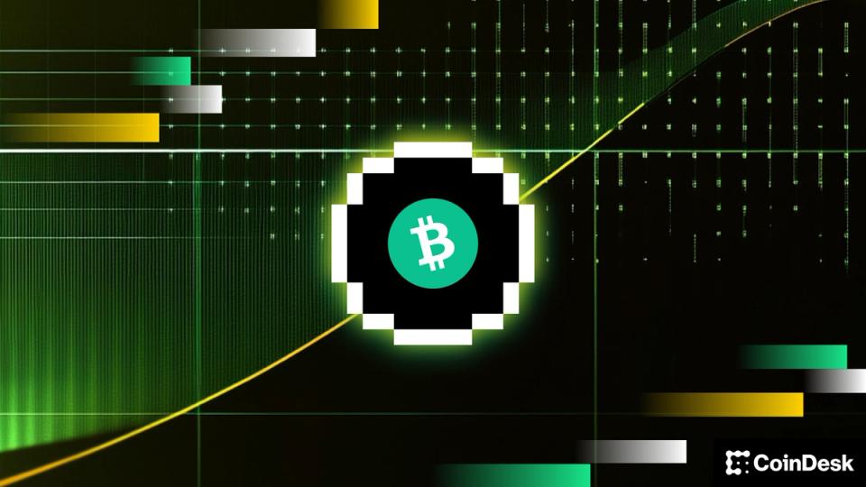 Bitcoin choca contra el techo de 80,000 dólares, pero un experto asegura que la caída es solo un susto pasajero ¡No te lo pierdas!