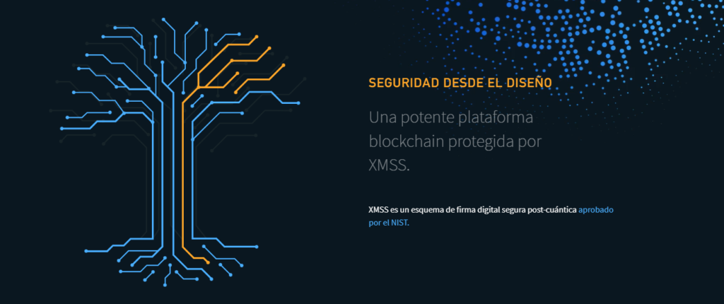 ¡Estas criptomonedas que Google teme porque ni la cuántica puede con ellas! ¿Quieres saber cuáles son?