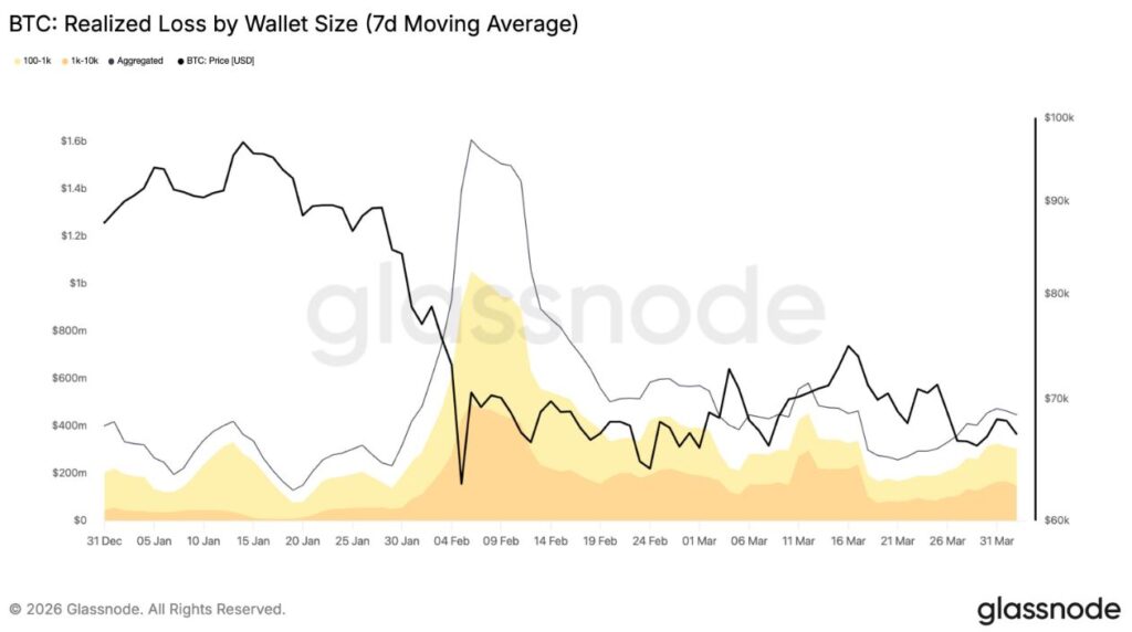 ¡Crisis gigante! Ballenas y tiburones de Bitcoin se tragan una pérdida de 30.900 millones USD ¡en sólo 3 meses!
