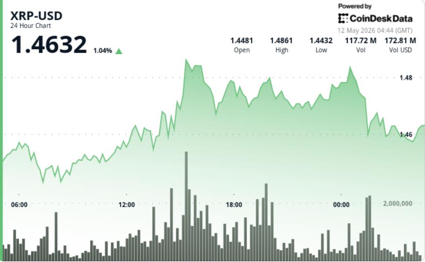 XRP se desacelera cerca de $1.46 ¡Pero el gran estallido que todos esperaban se esfuma!