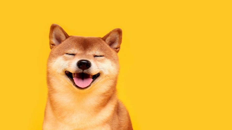 ¡DOGE se dispara un 10% y deja a Bitcoin atrás mientras el interés abierto rompe récords!