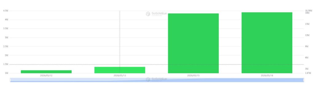 HYPE Explota en la Ola Roja: ¡Nuevos ETF y SpaceX Encienden la Fiesta del Trading!
