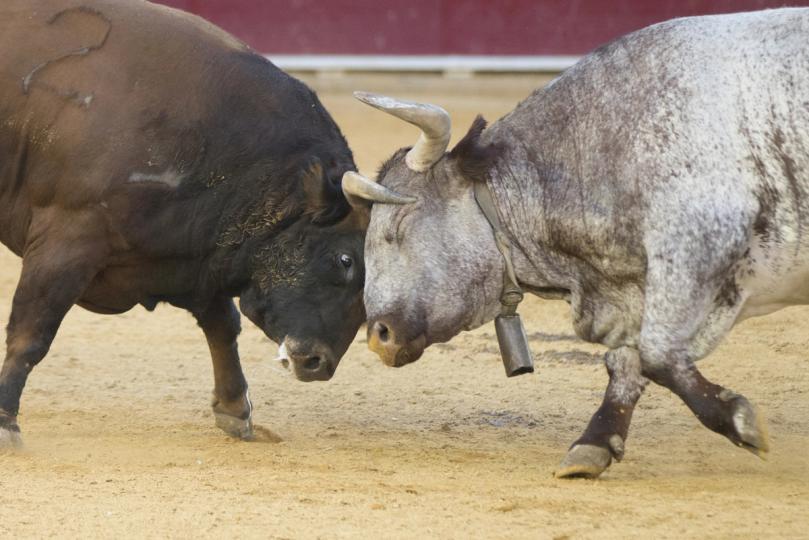 ¡Atentos Bulls! Se viene el reto más loco en los 17 años de la historia del Bitcoin